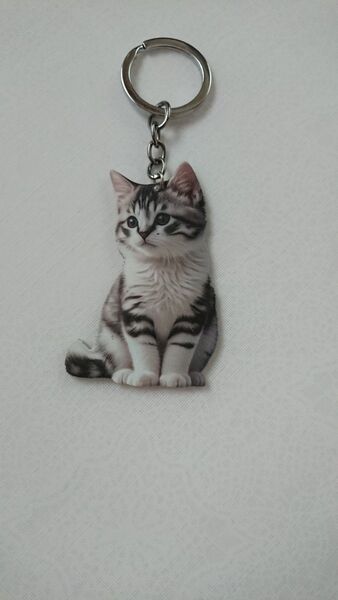 ~バンドメイド*可愛いキジシロねこちゃんアクリルキーホルダー~