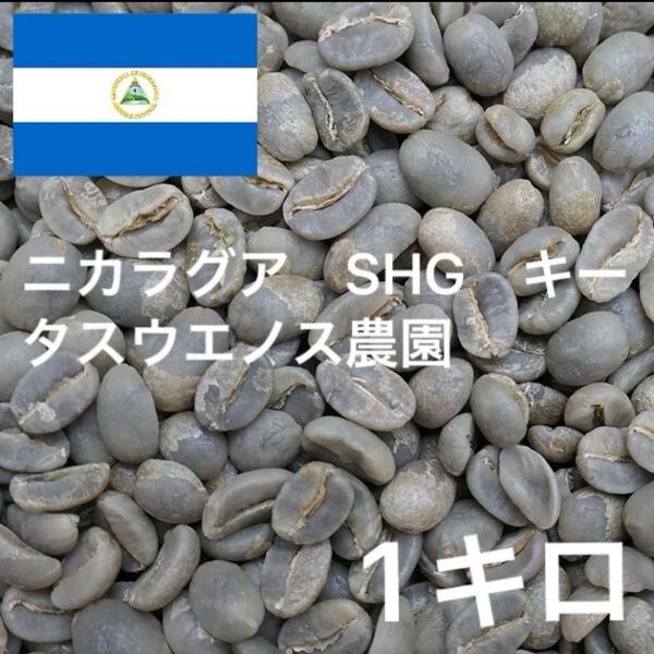 ニカラグア SHG キータスウエノス農園 珈琲生豆 コーヒー生豆 ニュークロップ 1キロ