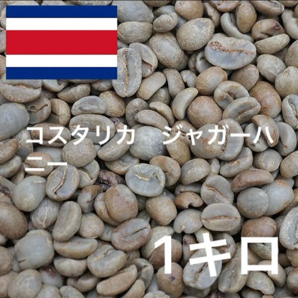 コスタリカ ジャガーハニー コーヒー生豆 珈琲生豆 ニュークロップ 1キロ