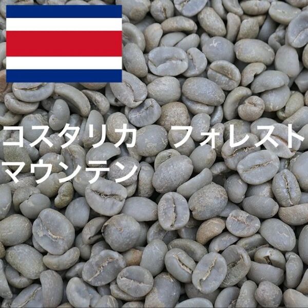 コスタリカ フォレストマウンテン Qグレード 珈琲生豆 コーヒー生豆 1キロ