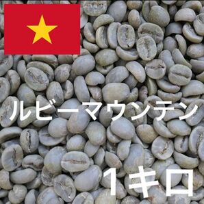 ルビーマウンテン (ベトナム アラビカ) コーヒー生豆 珈琲生豆 1キロ