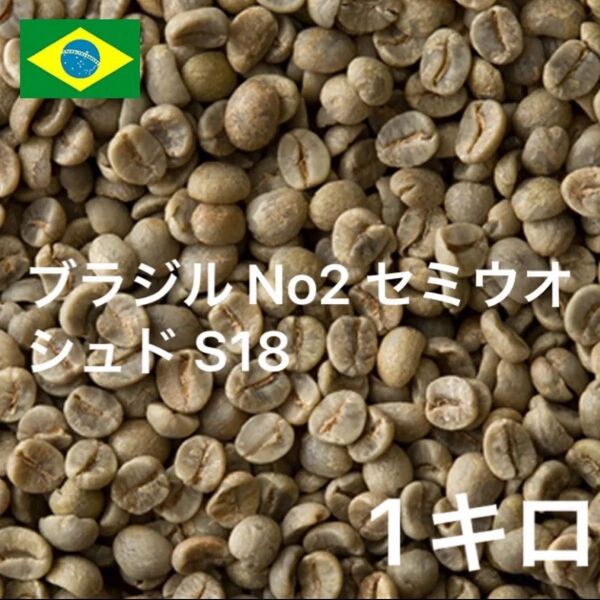 ブラジル No2 セミウオシュド S18 ニュークロップ コーヒー生豆 1キロ