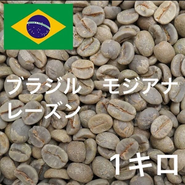 ブラジル モジアナ レーズン コーヒー生豆 珈琲生豆 1キロ ニュークロップ