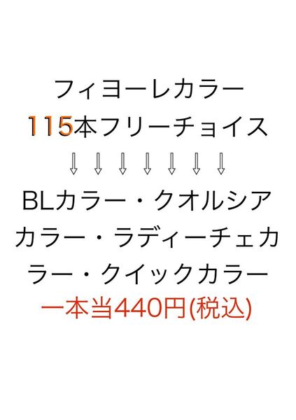 BLカラークオルシアカラーラディーチェカラークイックカラー