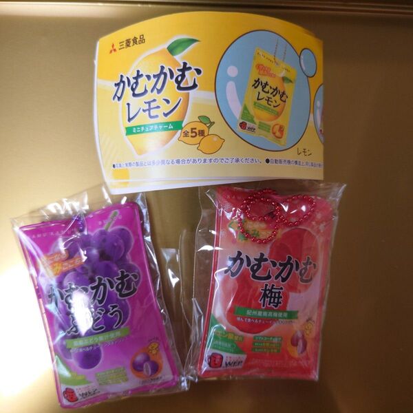 【未開封】ぶどう&梅 2点セット かむかむレモン ミニチュアチャーム