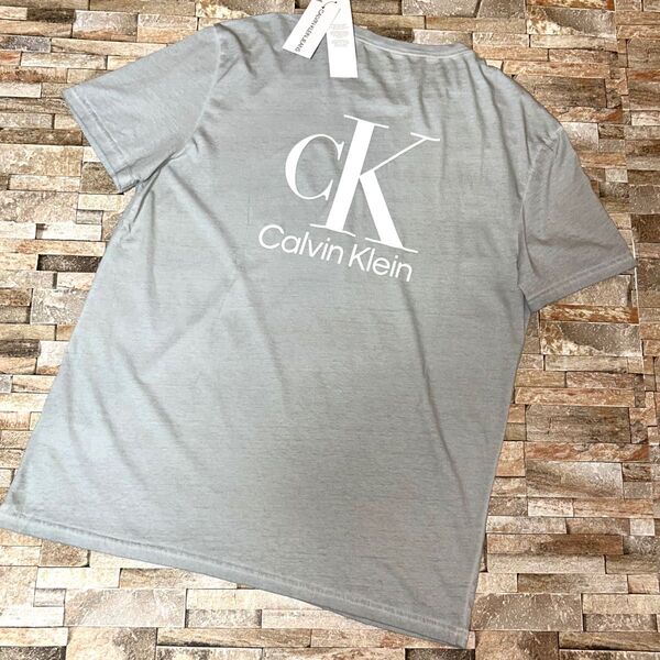 【新品】Calvin Klein カルバンクライン/アイコンロゴ デザインTシャツ カットソー Lサイズ