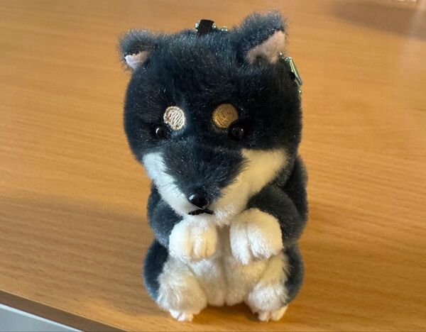 【新品未使用】ほっこり柴犬 茶々ノ助 柴黒兄貴 ごはんちょーだい ぬいぐるみ