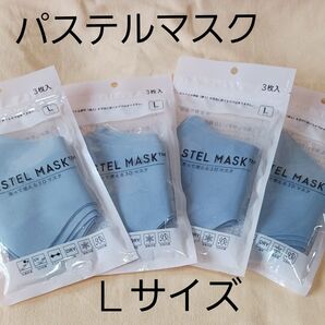 PASTEL MASK 洗って使える3Dマスク Lサイズ (ラージサイズ) 3枚入×4セット