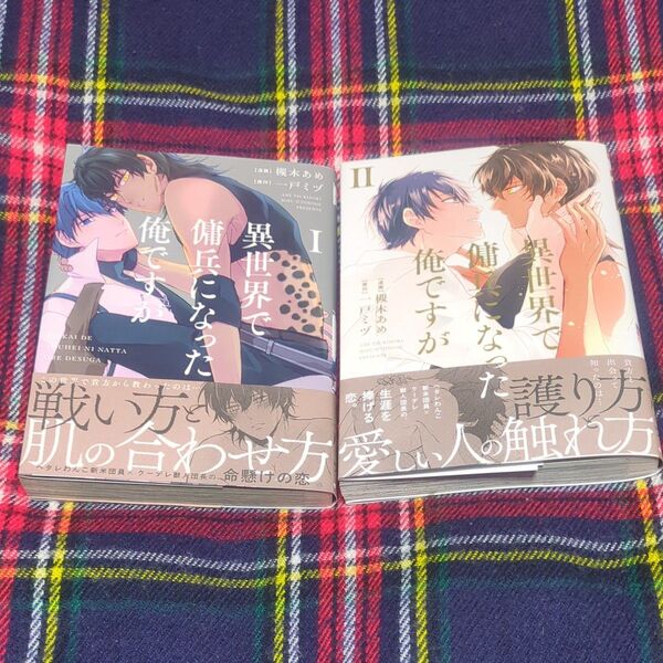 BL 異世界で傭兵になった俺ですが 1・2/槻木あめ/一戸ミヅ 帯付き初版
