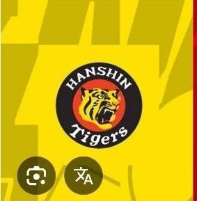 5/16 阪神vs広島 1塁アルプス席 1枚