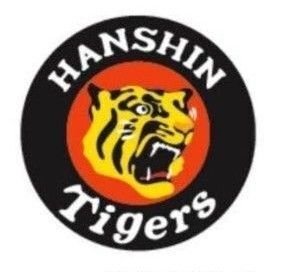 5/29(木) 阪神vs横浜 1塁アルプス席 2連番 2枚 阪神チケット 阪神vs横浜