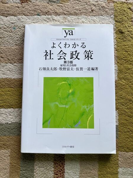 よくわかる社会政策 ミネルヴァ書房 わかる