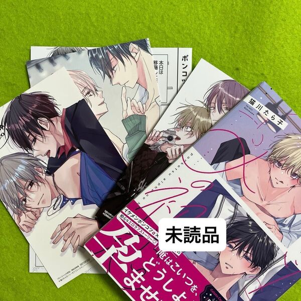 ポンコツαの初恋 (アニメイト特典リーフレット)(イラストカード2枚)(初期限定『DKとヤクザ』イラストカード封入)