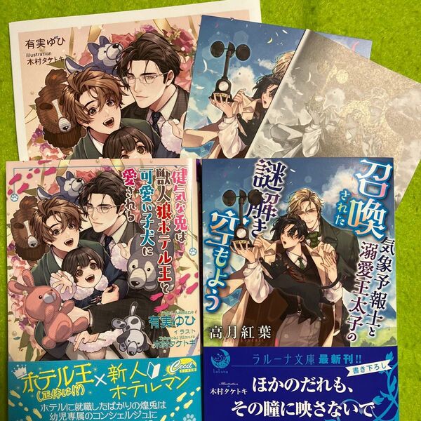健気な兎は獣人狼ホテル王と可愛い子犬に愛される 召喚された気象予報士と溺愛王太子の謎解き空もよう 2冊セット