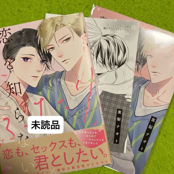恋を知らないふたり (コミコミ有償特典)(コミコミ特典リーフレット)
