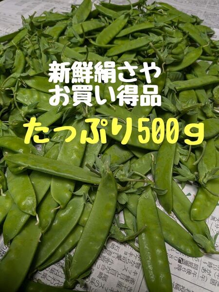 新鮮絹さや お買い得品 たっぷり500g
