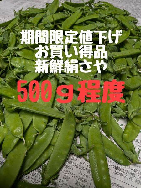 期間限定値下げ 新鮮絹さや 500g