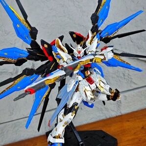 MGEX サイズ 1/100 ストライクフリーダム