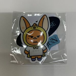 TXT カプセルトイ ガチャガチャ プルバトゥ ファンチュン ヨンジュン ステッカー