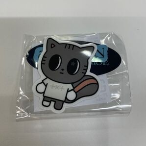 TXT カプセルトイ ガチャガチャ プルバトゥ ダゴニャン テヒョン ステッカー