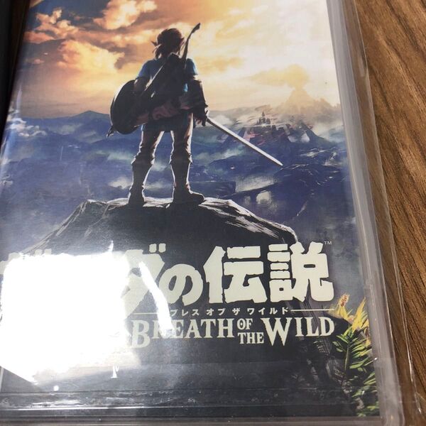 Switch 海外版Switch