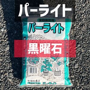 パーライト 黒曜石 粒状 2L 観葉植物 多肉植物 塊根植物 アガベ パキプス