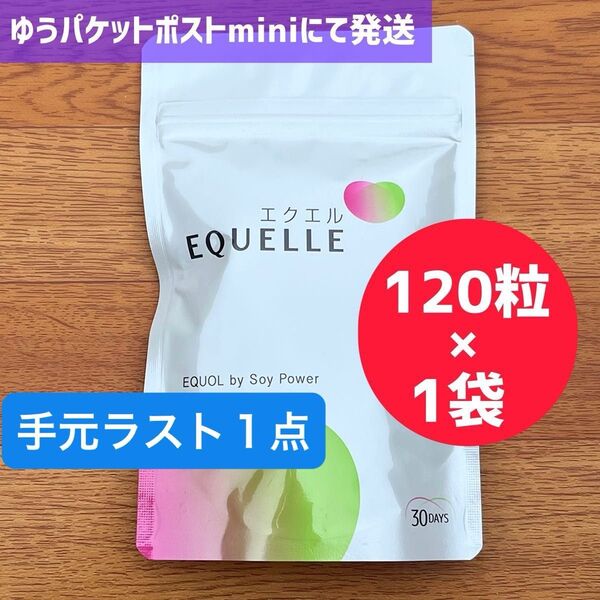 EQUELLE エクエル パウチ 120粒 大豆イソフラボン 大塚製薬 エクエル