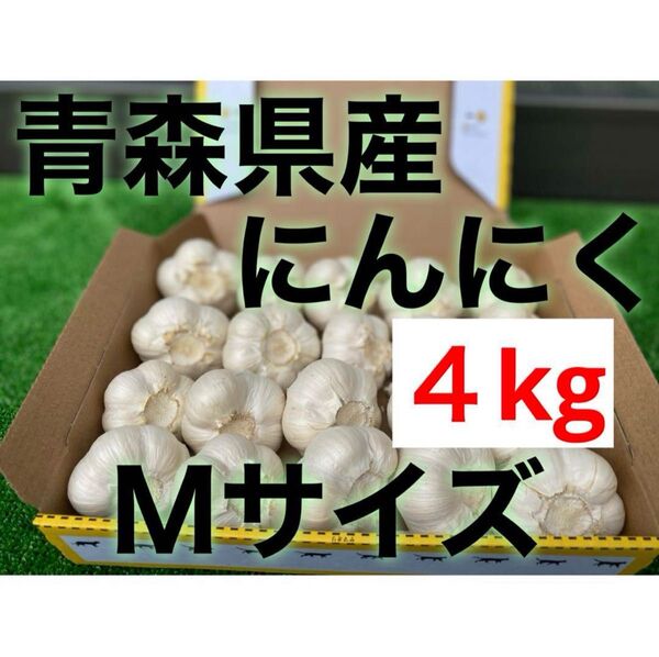 青森県産 乾燥にんにく 1kg M サイズ 福地ホワイト六片