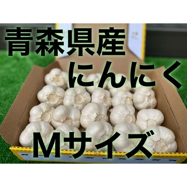 青森県産 乾燥にんにく 1kg M サイズ 福地ホワイト六片
