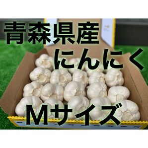 青森県産 乾燥にんにく 1kg M サイズ 福地ホワイト六片
