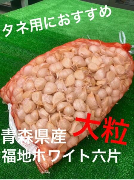 在庫限り 2L バラ 10kg 青森産 乾燥にんにく 福地ホワイト六片 大粒 ニンニク