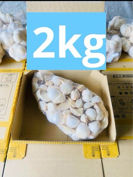 在庫限り L バラ 青森産 乾燥にんにく 福地ホワイト六片 大粒 ニンニク