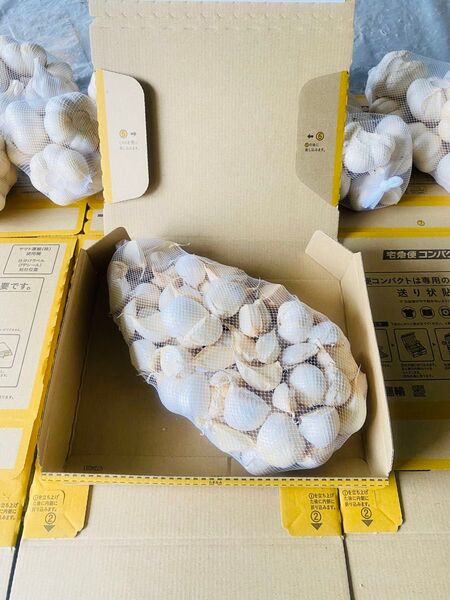 在庫限り L バラ 青森産 乾燥にんにく 福地ホワイト六片 大粒 ニンニク