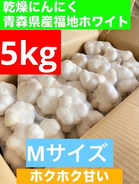 青森県産 乾燥にんにく M サイズ 福地ホワイト六片
