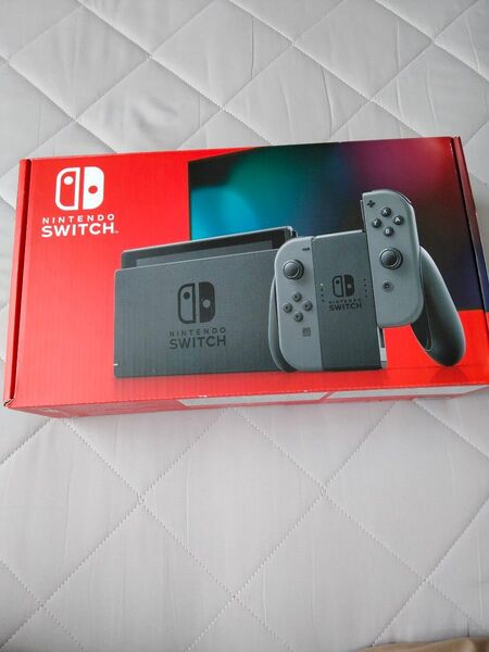 Nintendo Switch 本体 グレー