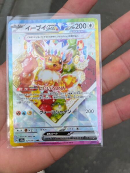 ポケモンカードゲーム イーブイex SAR