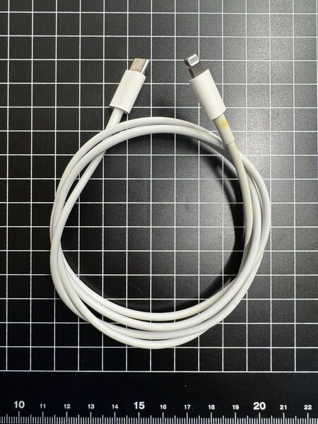 Apple 純正 充電ケーブル Lightning〜USB-typeC
