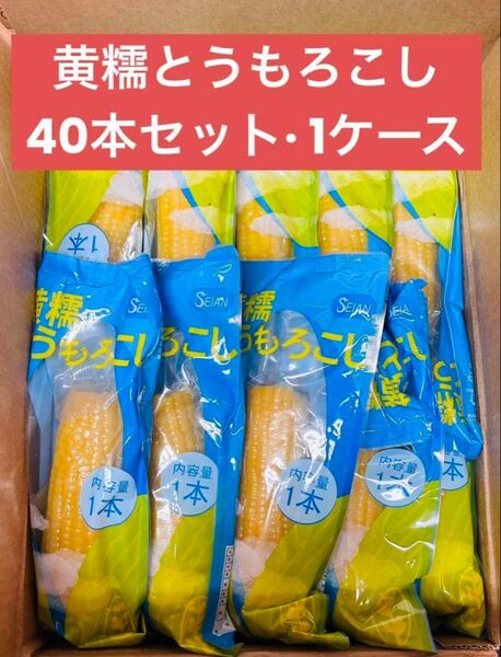 もちもち黄糯玉米 黄糯とうもろこし 真空パック 黄玉米 黏玉米 トウモロコシ 40本(1ケース)