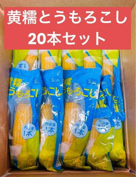 もちもち黄糯玉米 黄糯とうもろこし軸付き 真空パック 黄玉米 黏玉米 20本セット