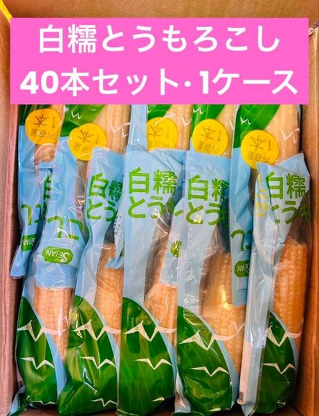 もちもち白糯玉米 白糯とうもろこし 真空パック 白玉米 黏玉米 トウモロコシ 40本(1ケース)