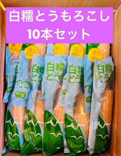 もちもち白糯玉米 白糯とうもろこし軸付き 真空パック 白玉米 黏玉米 10本セット