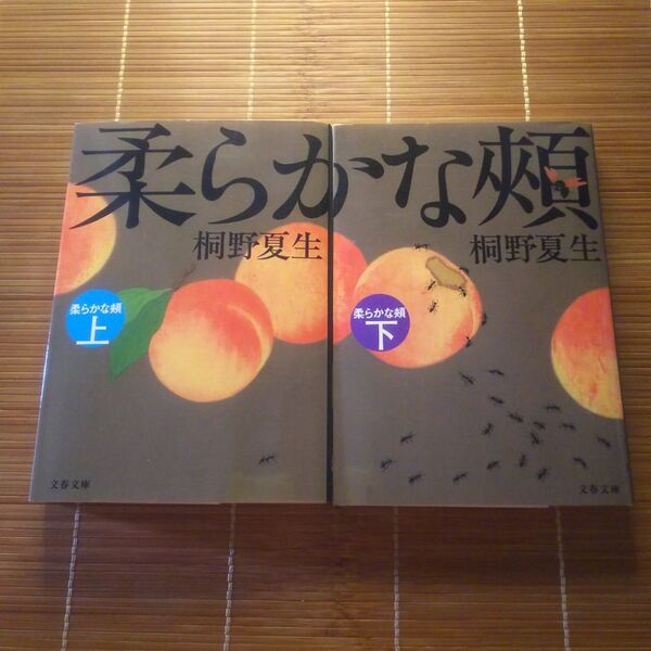 直木賞受賞作 柔らかな頬 文庫本 上下巻セット