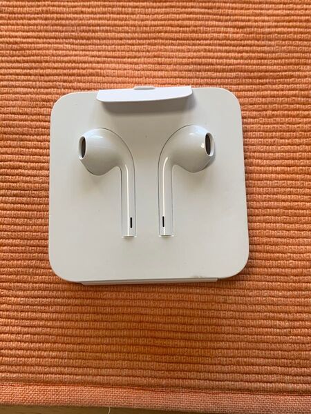 iPhone イヤホン イヤフォン 純正 ライトニング Lightning