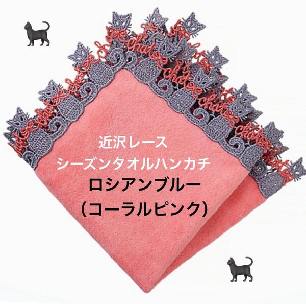人気!【新品】近沢レース シーズンタオルハンカチ *ロシアンブルー*コーラルピンク 猫