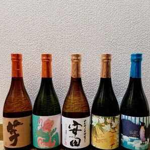 安田 フラミンゴオレンジ