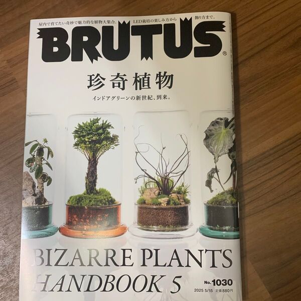 BRUTUS(ブルータス) 2025年5月15日号 (マガジンハウス)