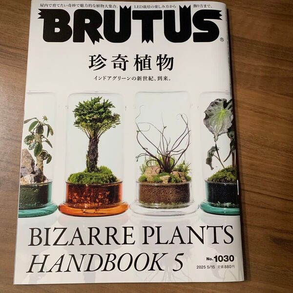 BRUTUS(ブルータス) 2025年5月15日号 (マガジンハウス)