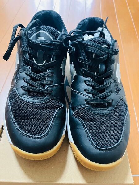 【美品】DESCENTE バレーボールシューズ 26.0cm ブラック