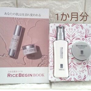 RICE BEGIN 【医薬部外品】 オールインワンエマルジョンNo.11 プログレスナイトクリームNo.11