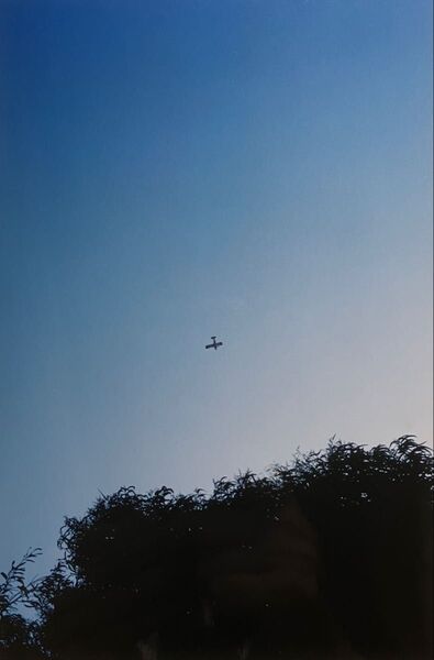 池田大作先生撮影 生写真 非売品 一点物 アメリカ ロサンゼルスの青空 1993年撮影 18cm x 13cm 創価学会 希少